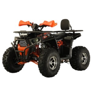 Квадроцикл WOLF RIDER 125