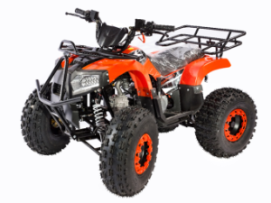 Квадроцикл 200 OMAKS