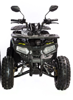 Квадроцикл 200 OMAKS