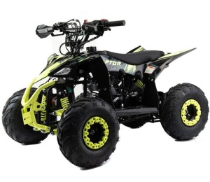 Квадроцикл MOTOLAND 110 RAPTOR A