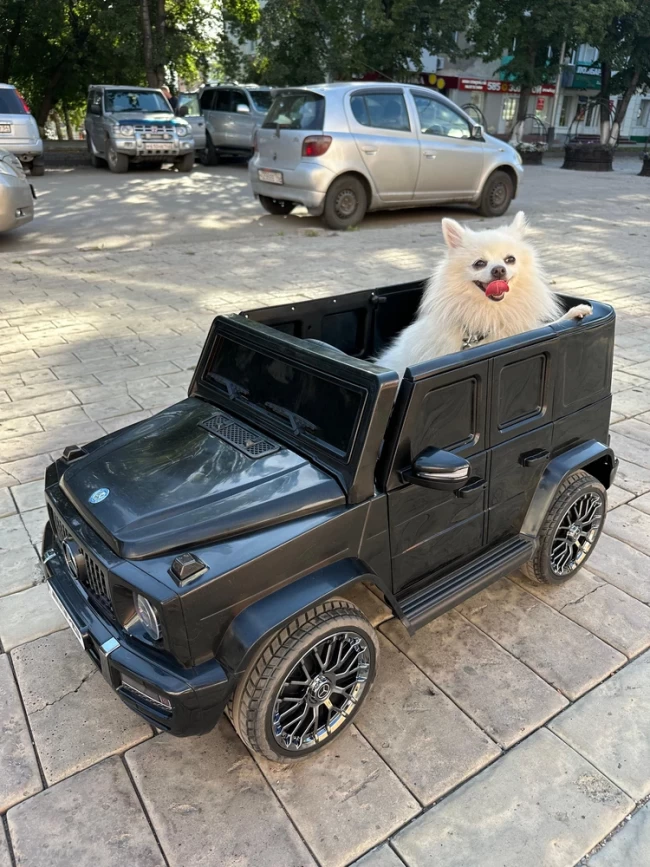 Электромобиль RIVER TOYS MERCEDES -AMG G333GG черн глянец