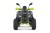 Квадроцикл PIKE 125 PRO