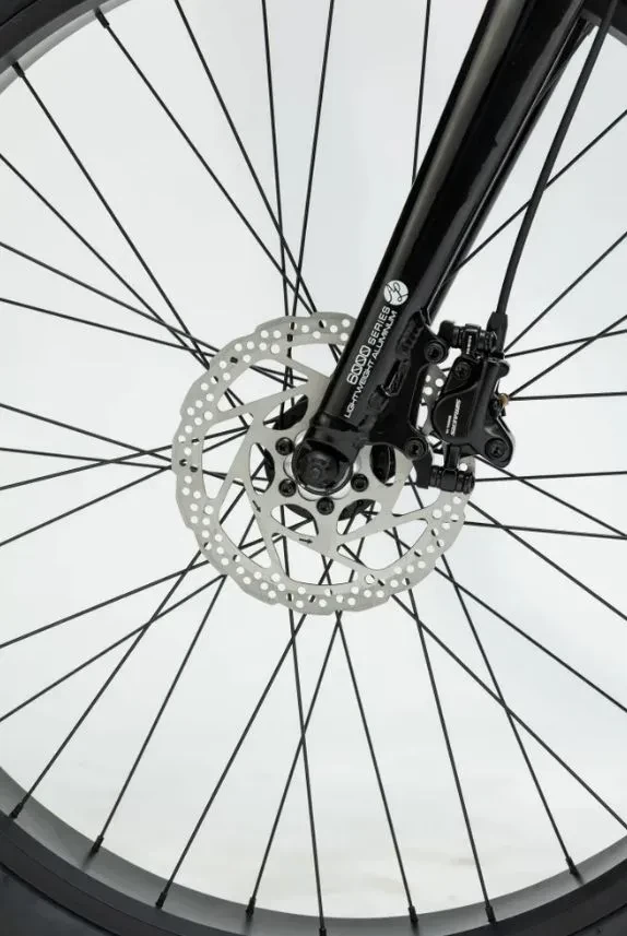 TIMETRY TT219 R26 TIMETRY TT219 R26