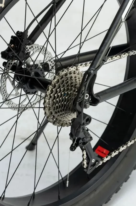 TIMETRY TT219 R26 TIMETRY TT219 R26