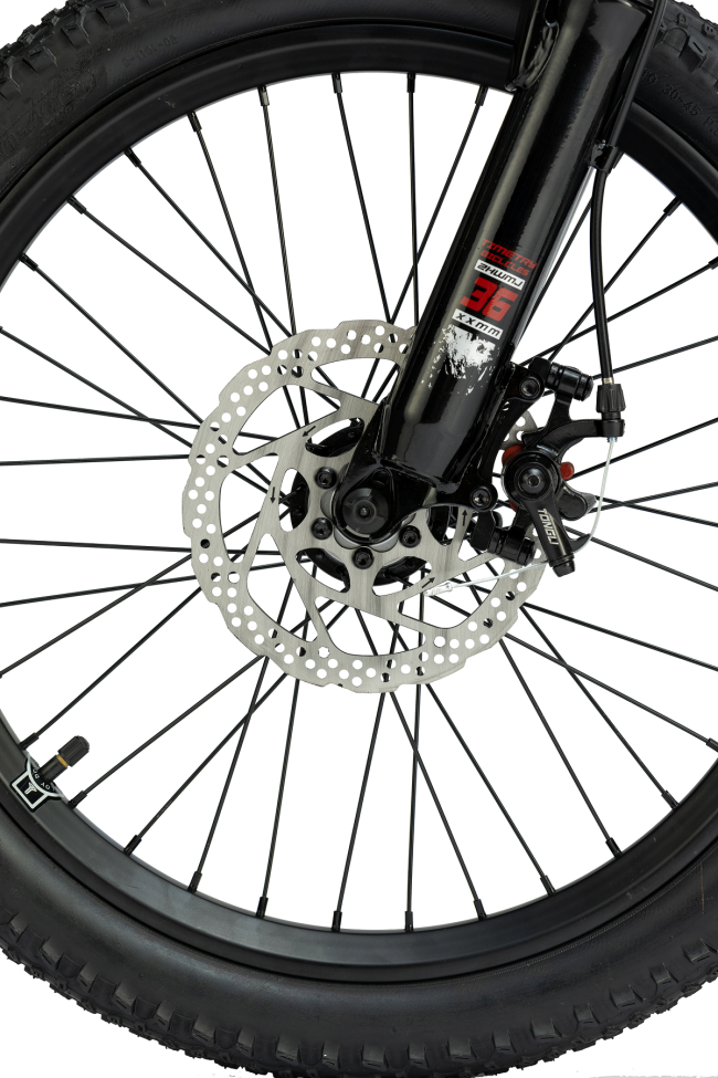 TIMETRY TT323 R20 TIMETRY TT323 R20