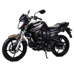 МОТОЦИКЛ ДОРОЖНЫЙ MOTOLAND BANDIT 300 коричневый