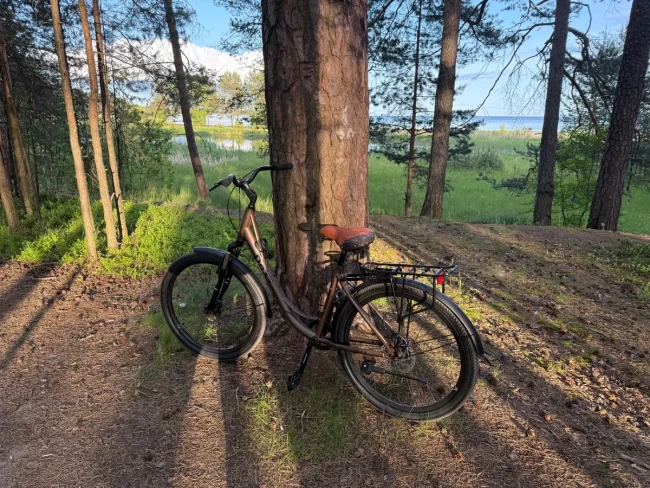 DEXTpro 009 R26 DEXTpro 009 R26