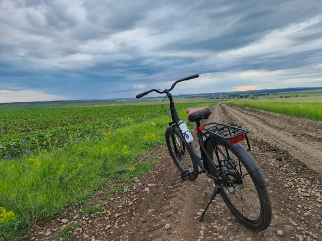 DEXTpro 009 R26 DEXTpro 009 R26