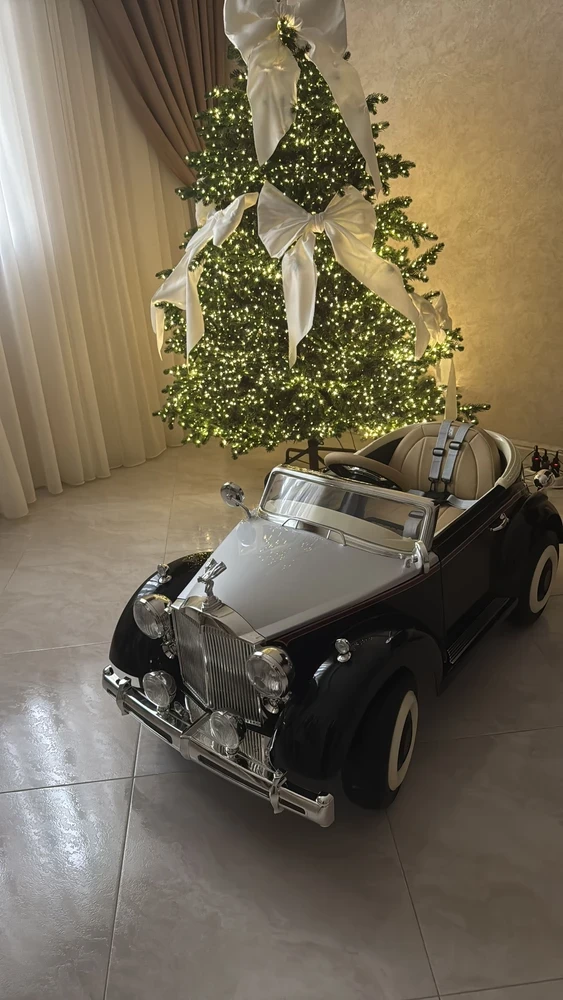 Электромобиль RIVER TOys Roils - Royca  черный глянец