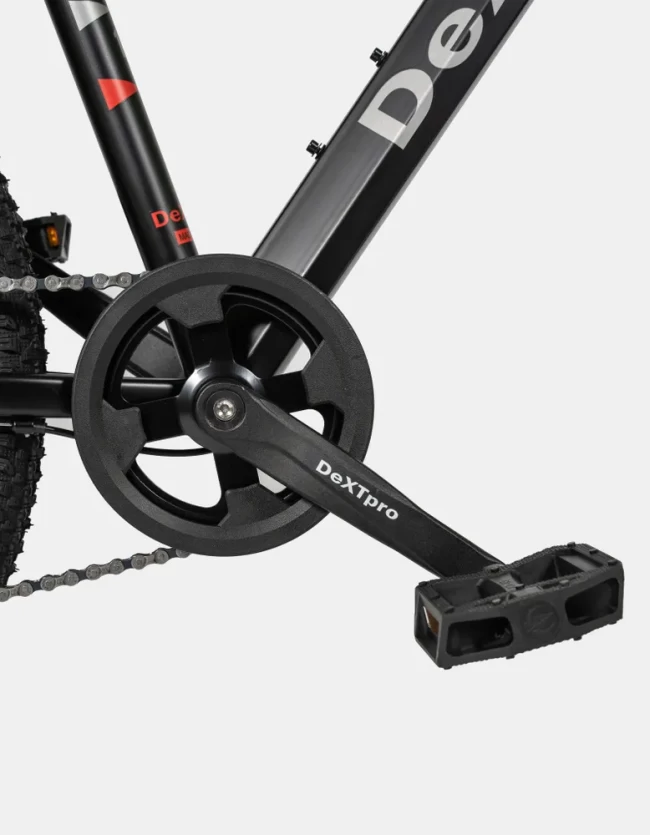 DexTpro 002 R24 DexTpro 002 R24