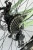 TIMETRY TT290 R20