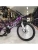 PULSE MD 2600 R24