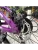 PULSE MD 2600 R24