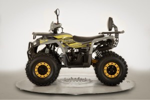 Квадроцикл 125 куб. DeXTpro 07
