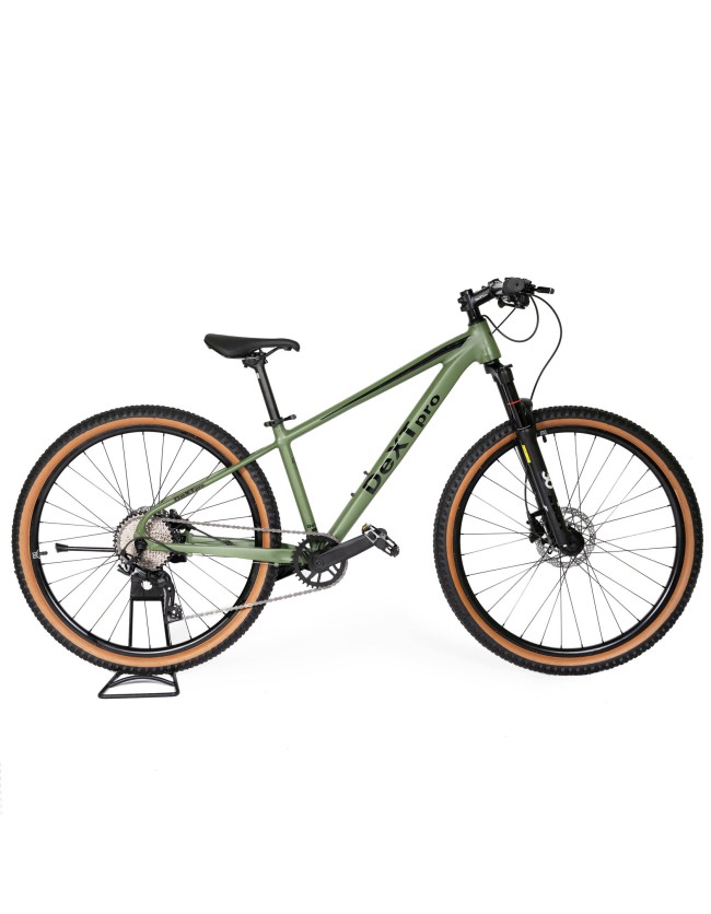 DeXTpro 005 R29 DeXTpro 005 R29