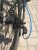 PULSE MD 480 R27.5