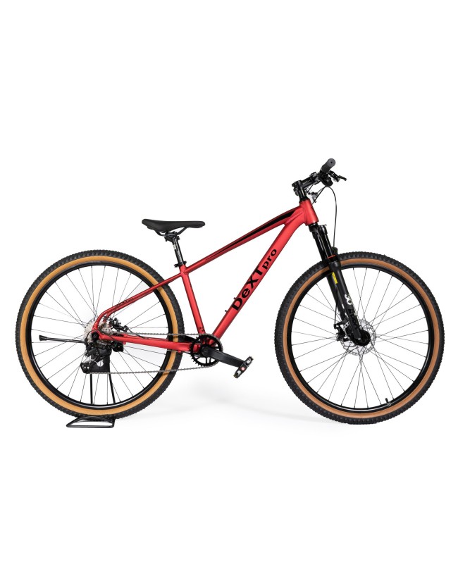 DEXTpro 004 R29 DEXTpro 004 R29