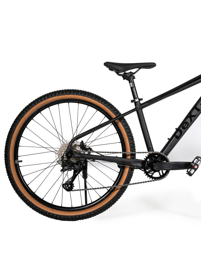 DEXTpro 004 R29 DEXTpro 004 R29