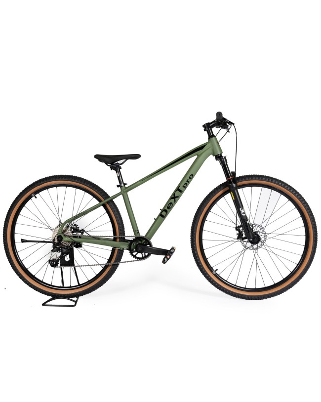 DEXTpro 004 R29 DEXTpro 004 R29