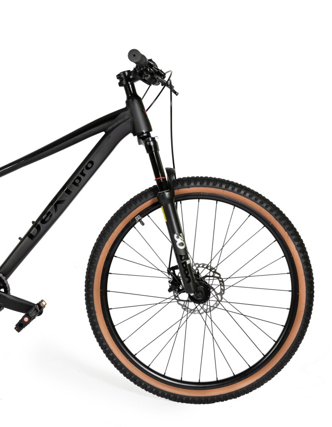 DEXTpro 004 R29 DEXTpro 004 R29