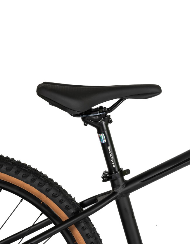 DEXTpro 004 R29 DEXTpro 004 R29