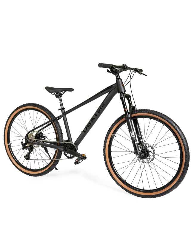 DEXTpro 004 R29 DEXTpro 004 R29