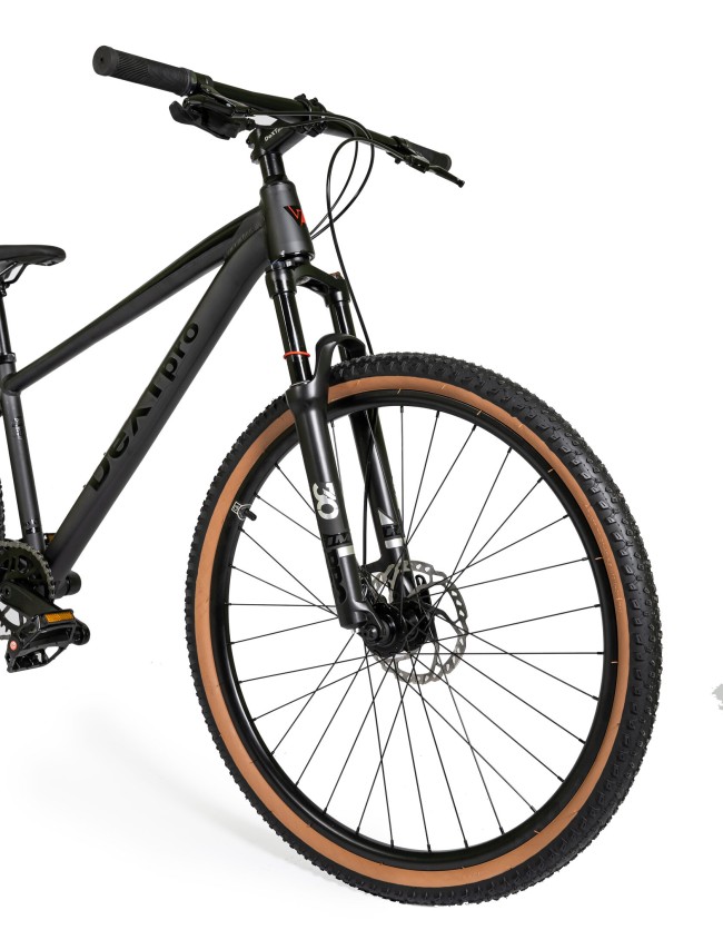 DEXTpro 004 R29 DEXTpro 004 R29