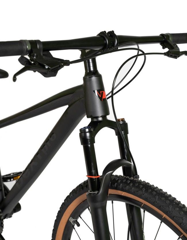 DEXTpro 004 R29 DEXTpro 004 R29