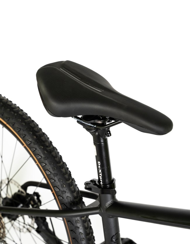 DEXTpro 004 R29 DEXTpro 004 R29