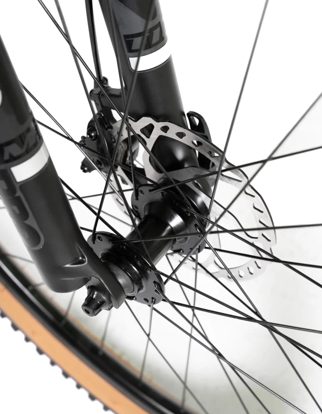 DEXTpro 004 R29 DEXTpro 004 R29