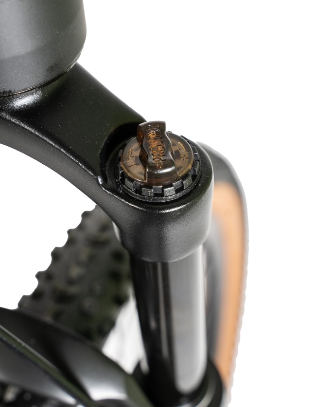 DEXTpro 004 R29 DEXTpro 004 R29