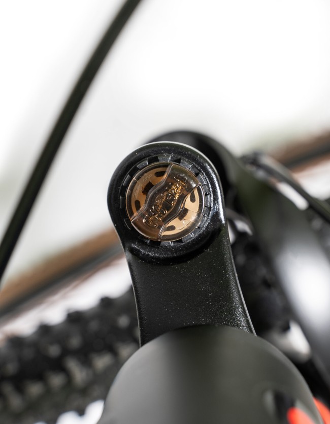 DEXTpro 004 R29 DEXTpro 004 R29