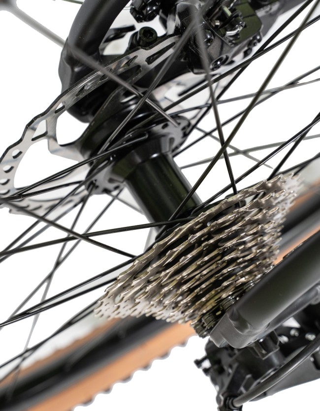 DEXTpro 004 R29 DEXTpro 004 R29