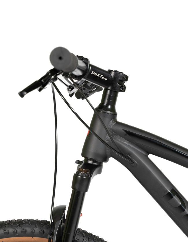 DEXTpro 004 R29 DEXTpro 004 R29