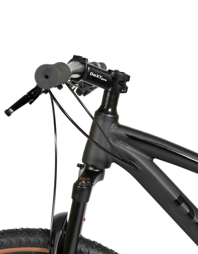 DEXTpro 004 R29 DEXTpro 004 R29