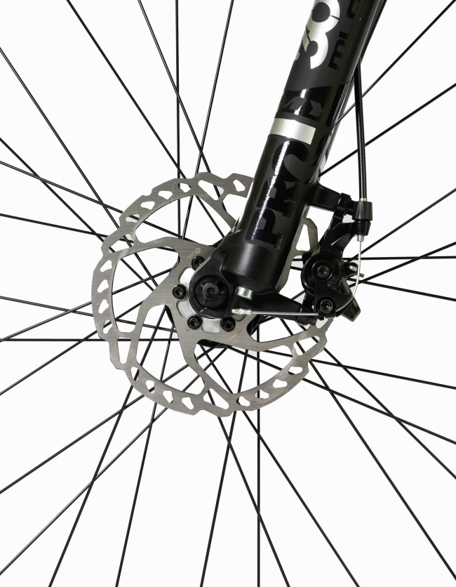 DEXTpro 004 R29 DEXTpro 004 R29