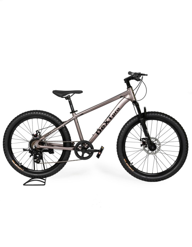 DeXTpro 007 r24 DeXTpro 007 r24