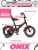 MAXX PRO R12