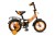 MAXX PRO R12