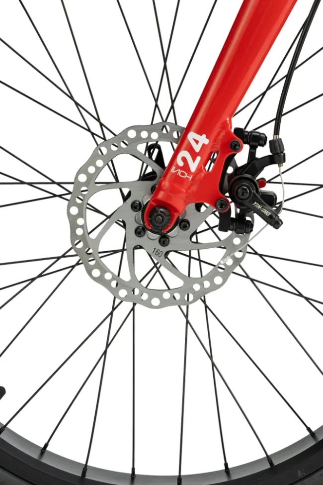 TIMETRY TT217 ФЭТ R24