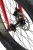 TIMETRY TT217 ФЭТ R24