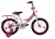 MAXX PRO R16