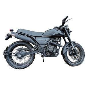 Мотоцикл RACER RS-300-GY8H Triumph 300 черный