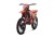 PROGASI Endurance 450 EFI