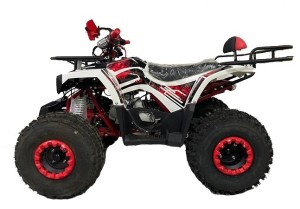 КВАДРОЦИКЛ RACER 125