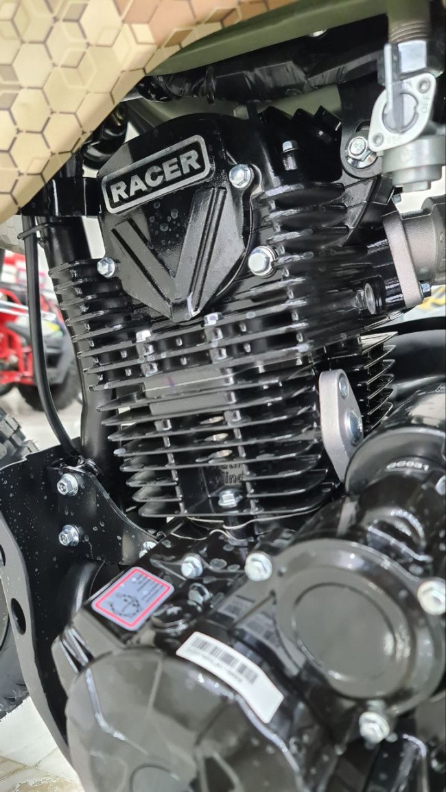 Мотоцикл RACER ZWC2-300X Panter