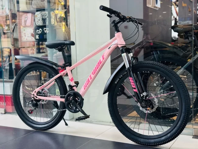 HW-333 R24 HW-333 R24