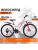 PULSE MD 2400 R24