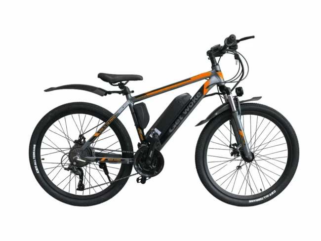 GET WOKE 24 электр алюм