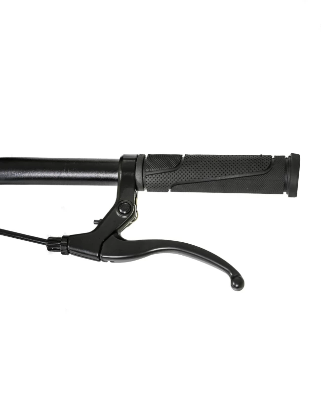 DeXTpro 007 r24 (золотой)